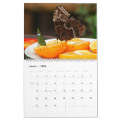 Butterflies Kalender (Mar 2026)