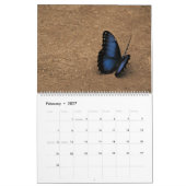 Butterflies Kalender (Feb 2027)