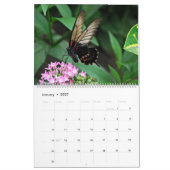 Butterflies Kalender (Jan 2027)