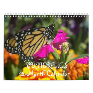 Butterflies Kalender