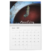 Butterflies Kalender (Mar 2027)