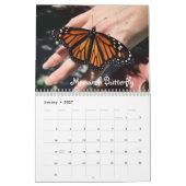 Butterflies Kalender (Jan 2027)