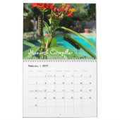 Butterflies Kalender (Feb 2027)