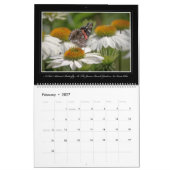 Butterflies kalender 2017 van Thomas Minutolo (Feb 2027)