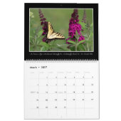 Butterflies kalender 2017 van Thomas Minutolo (Mar 2027)