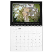 Butterflies kalender 2017 van Thomas Minutolo (Jan 2027)
