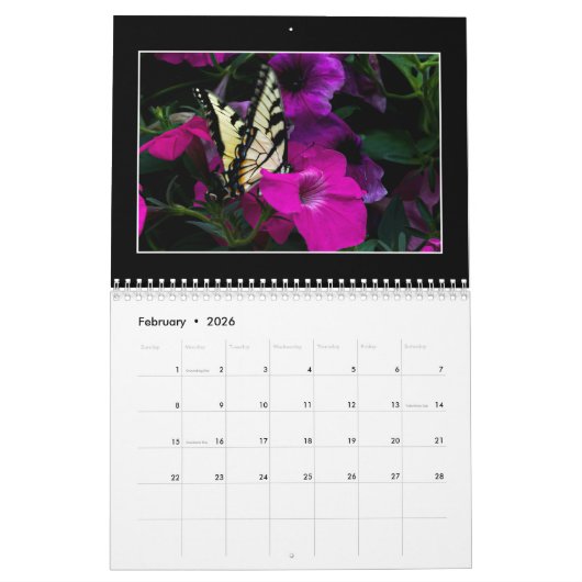 Butterflies Kalender 2023 van Tom Minutolo (Feb 2026)