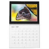 Butterflies Kalender 2023 van Tom Minutolo (Mar 2027)