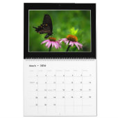 Butterflies Kalender 2023 van Tom Minutolo (Mar 2026)