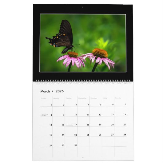 Butterflies Kalender 2023 van Tom Minutolo (Mar 2026)