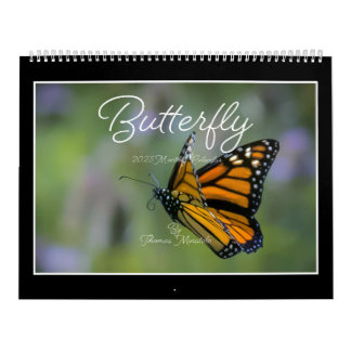 Butterflies Kalender 2023 van Tom Minutolo