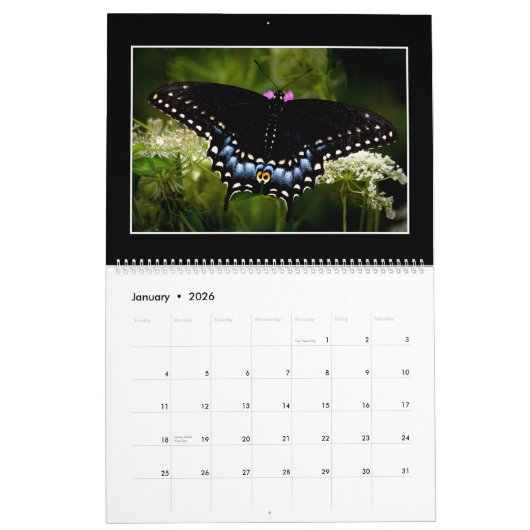 Butterflies Kalender 2023 van Tom Minutolo (Jan 2026)
