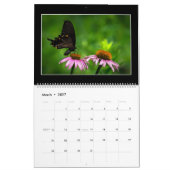 Butterflies Kalender 2023 van Tom Minutolo (Mar 2027)