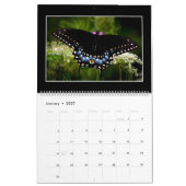 Butterflies Kalender 2023 van Tom Minutolo (Jan 2027)