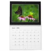 Butterflies Kalender 2023 van Tom Minutolo (Mar 2026)