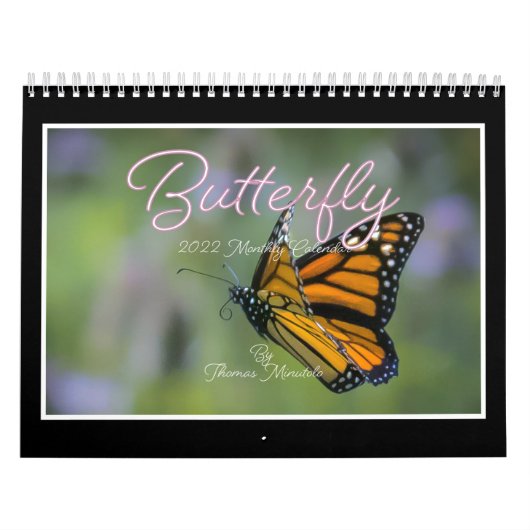 Butterflies Kalender 2023 van Tom Minutolo (Hoes)