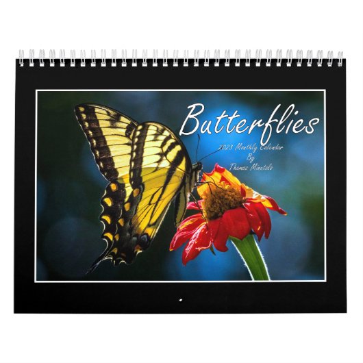 Butterflies Kalender 2023 van Tom Minutolo (Hoes)