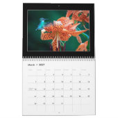 Butterflies Kalender 2023 van Tom Minutolo (Mar 2027)