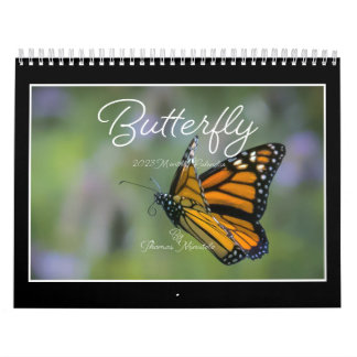 Butterflies Kalender 2023 van Tom Minutolo