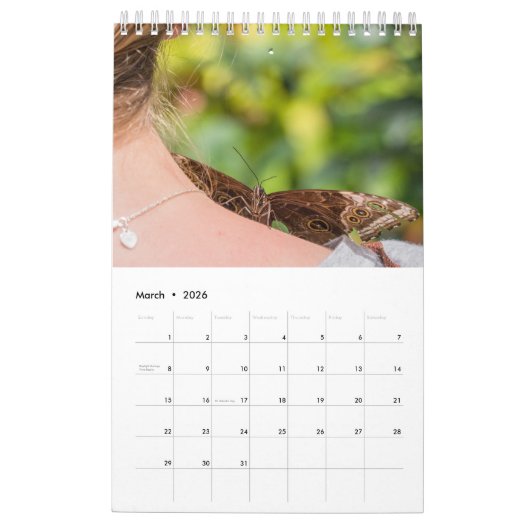 Butterflies kalender 2024 (Mar 2026)