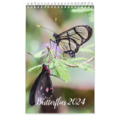 Butterflies kalender 2024 (Hoes)