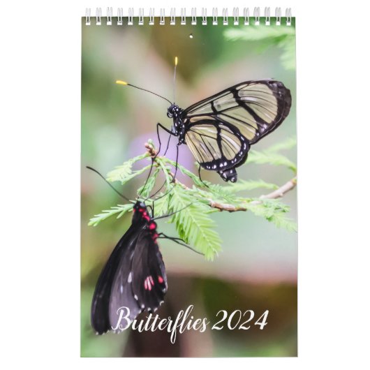 Butterflies kalender 2024 (Hoes)