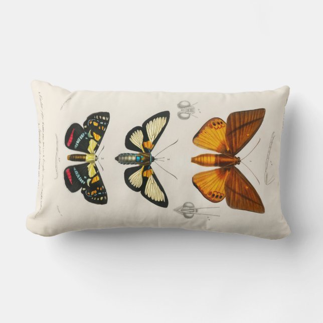  Butterflies Kussen (Voorkant)