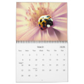 Butterflies & Ladybugs-fotografie-agenda Kalender (Mar 2026)