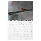 Butterflies & Ladybugs-fotografie-agenda Kalender (Jan 2026)