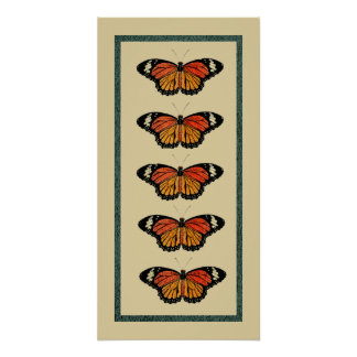  Butterflies Lente Prachtige Natuur Cute Perfect Poster