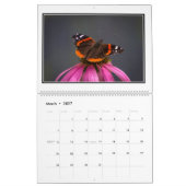 Butterflies Maandelijkse kalender 2016 door Tom Mi (Mar 2027)