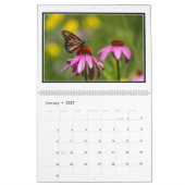 Butterflies Maandelijkse kalender 2016 door Tom Mi (Jan 2027)