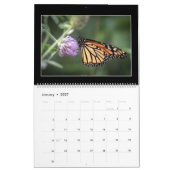 Butterflies Maandelijkse kalender 2018 door Tom Mi (Jan 2027)