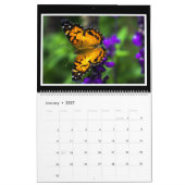 Butterflies Maandelijkse kalender 2019 door Tom Mi (Jan 2027)
