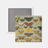 Butterflies Magneet (Voorkant / Achterkant)