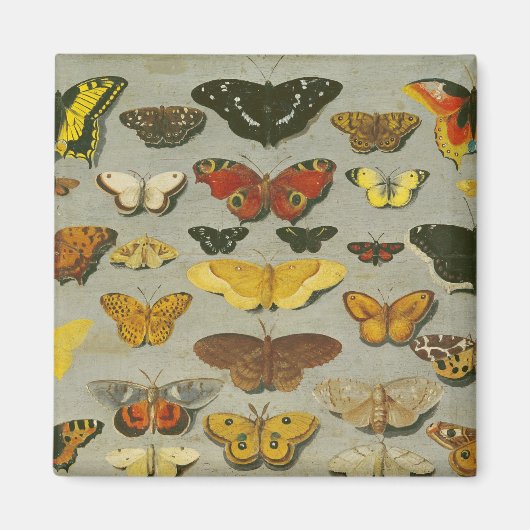 Butterflies Magneet (Voorkant)