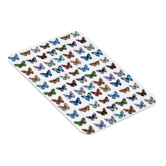 Butterflies Magneet (Rechterzijde)