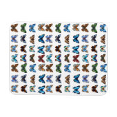 Butterflies Magneet (Horizontaal)