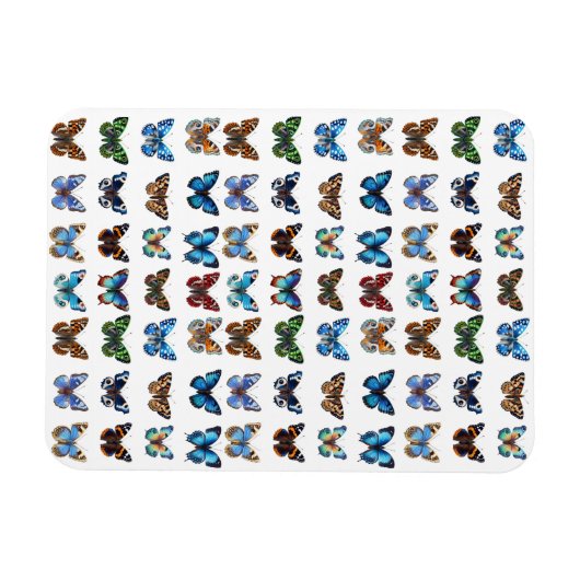 Butterflies Magneet (Horizontaal)