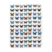 Butterflies Magneet (Verticaal)