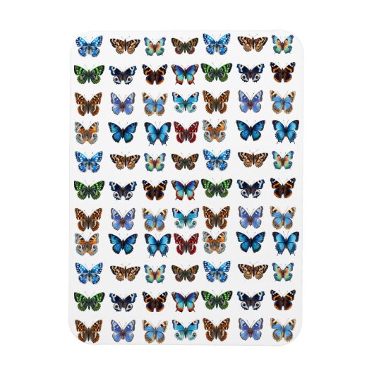Butterflies Magneet (Verticaal)