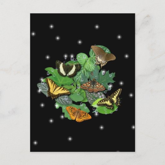 Butterflies met lederen spoelen en stangen briefkaart (Voorkant)