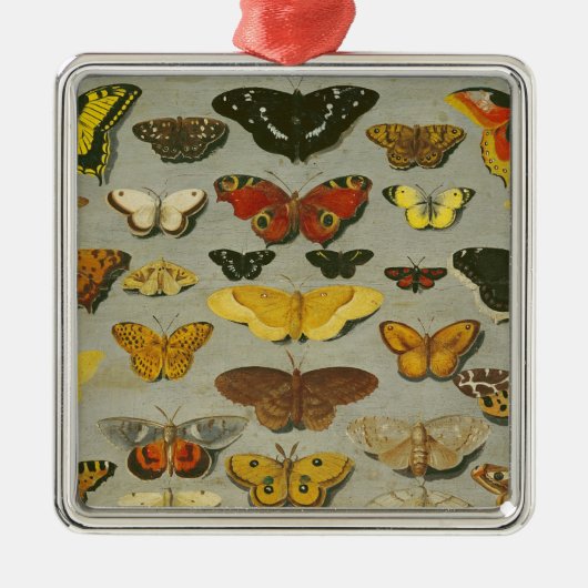 Butterflies Metalen Ornament (Voorkant)