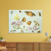 Butterflies, moden en andere insecten canvas afdruk (Insitu (Woonkamer))