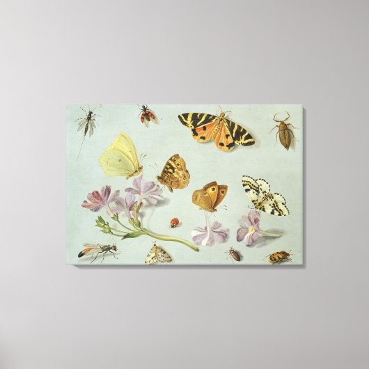 Butterflies, moden en andere insecten canvas afdruk (Voorkant)