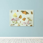 Butterflies, moden en andere insecten canvas afdruk (Insitu (Houten vloer))
