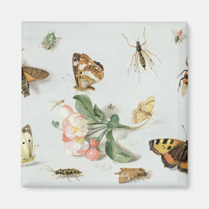 Butterflies, moden en andere insecten magneet