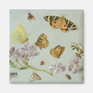 Butterflies, moden en andere insecten magneet