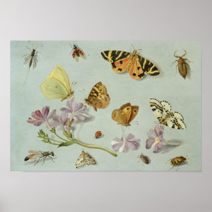 Butterflies, moden en andere insecten poster