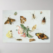 Butterflies, moden en andere insecten poster (Voorkant)